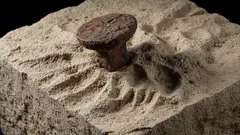 Ranskassa on tehty hämmästyttävä löytö, joka ei sovi viralliseen historiaan.